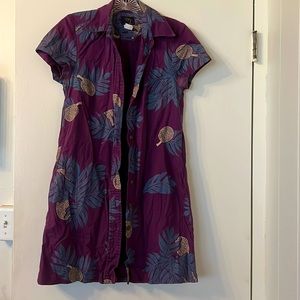 Sig Zane collared dress